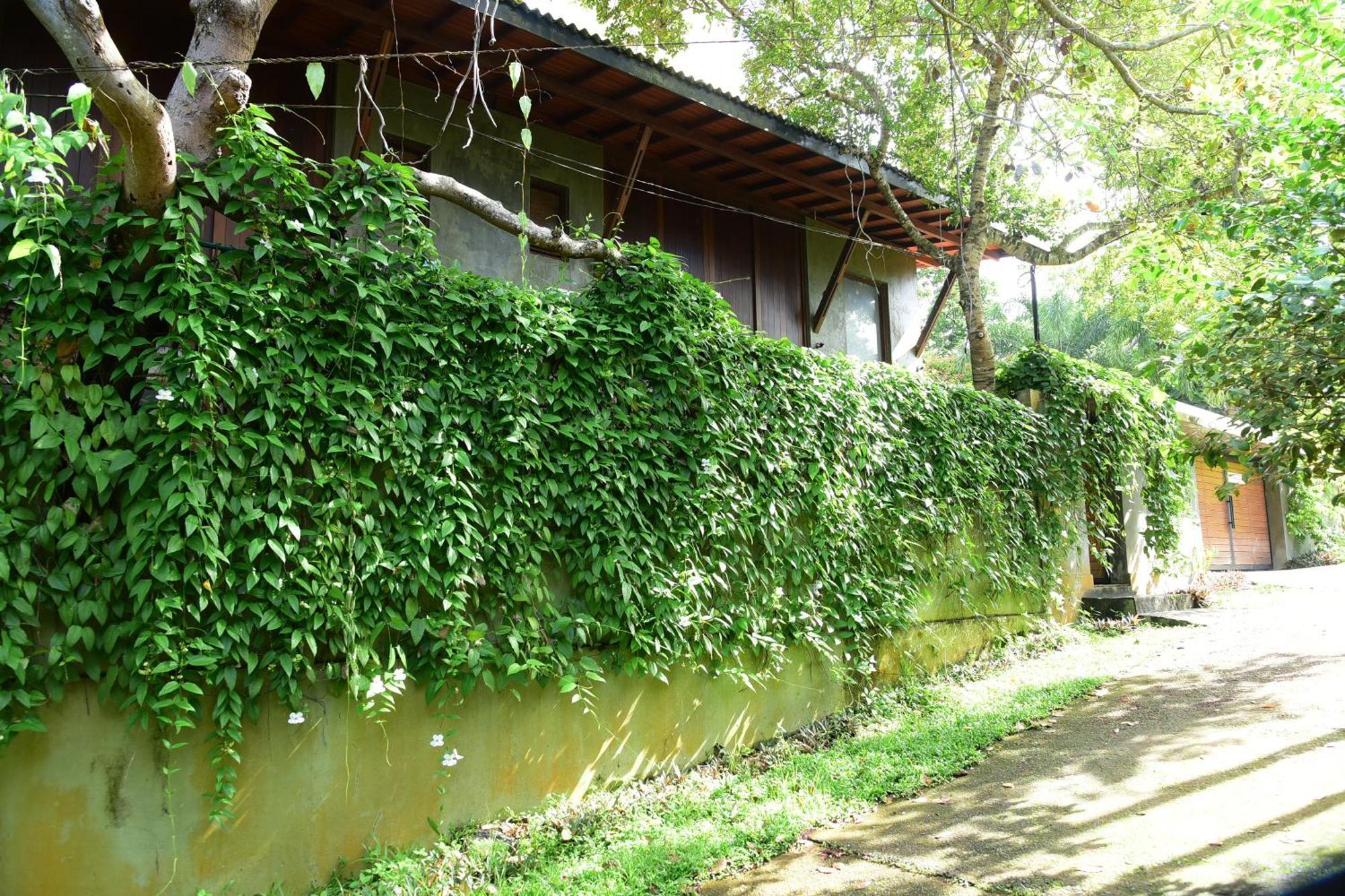 Hikka Secret Lake Resort Hikkaduwa Exterior foto